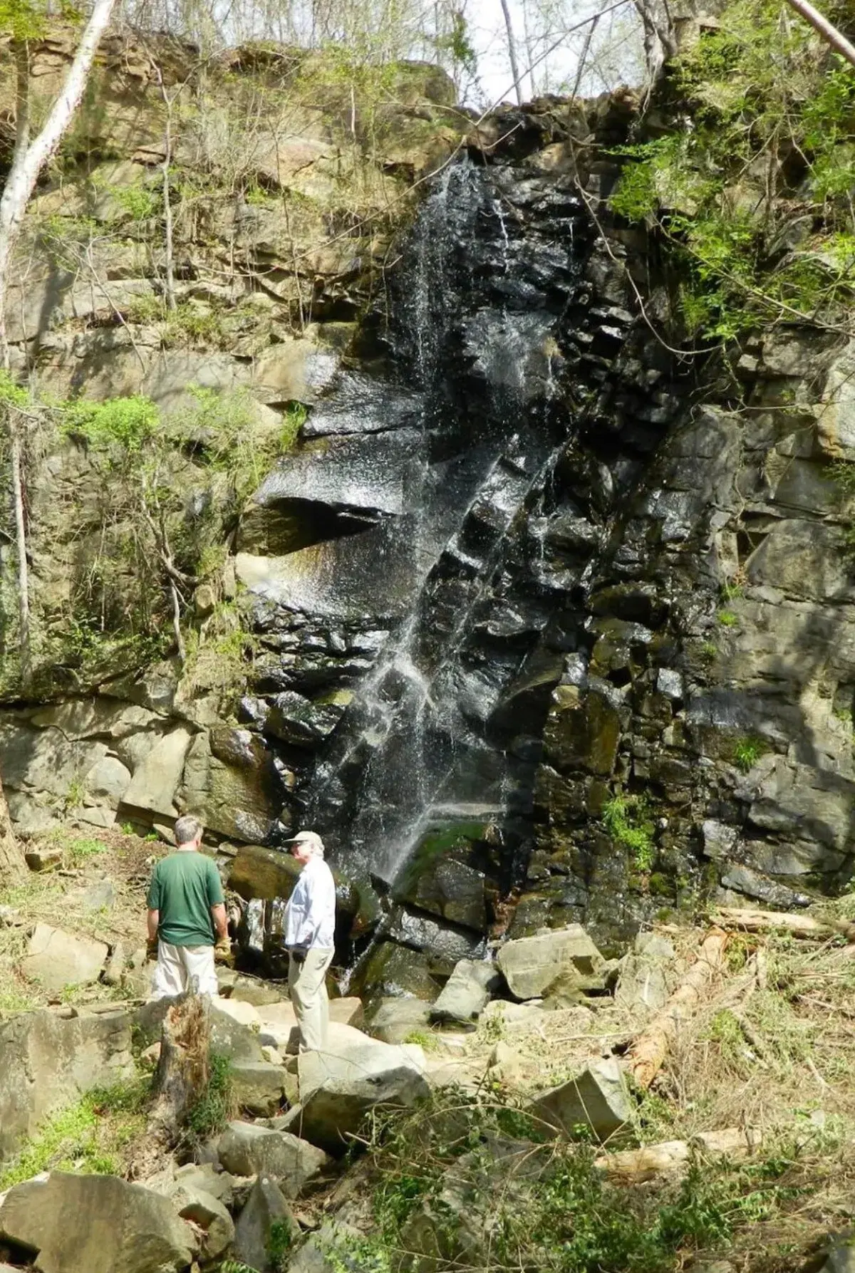 Discover the Rocky Creek Trail — Great Falls' Hidden Natural Gem